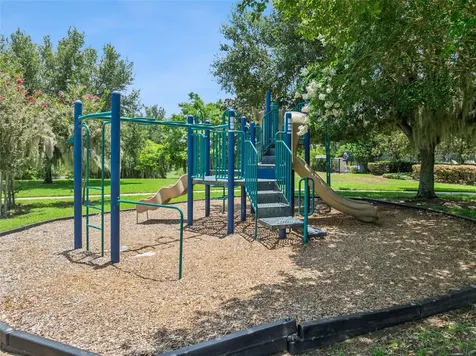 2514 Plumadore Drive Grand Island FL 32735