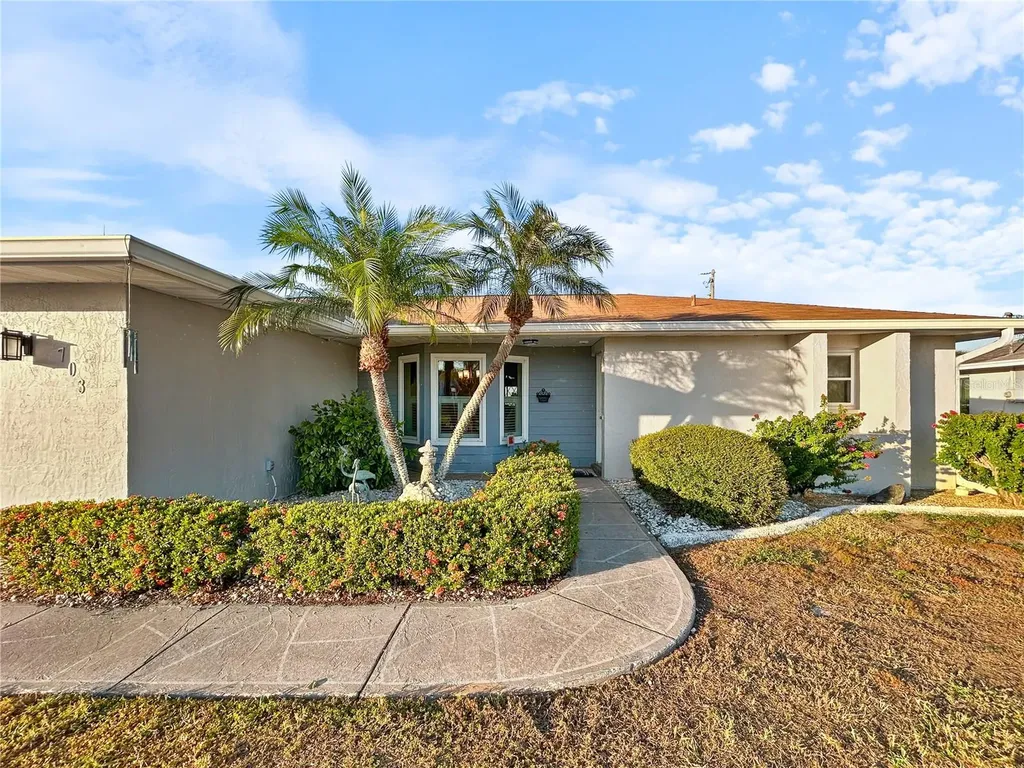 703 Ojai Avenue Sun City Center FL 33573