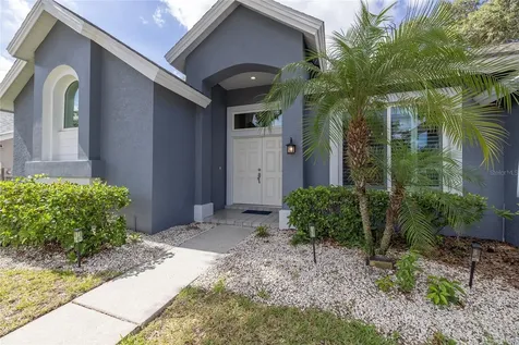2972 Robinwood Lane Palm Harbor FL 34684