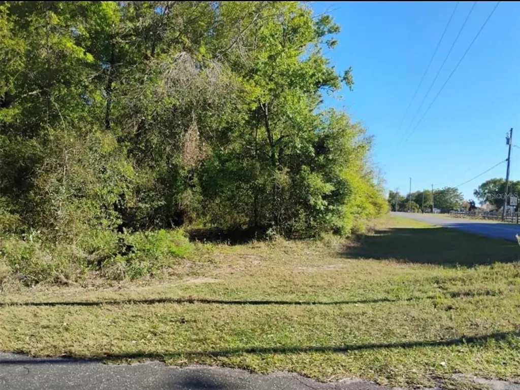 0 South Lake Hiawatha Drive Lady Lake FL 32159