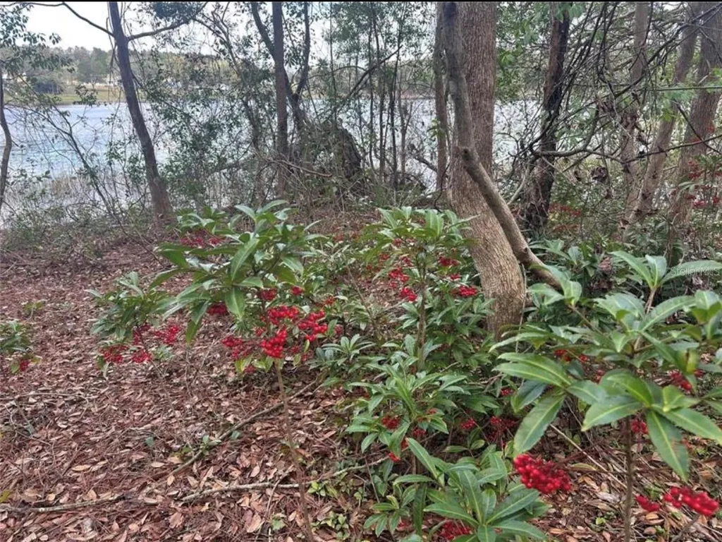 0 South Lake Hiawatha Drive Lady Lake FL 32159