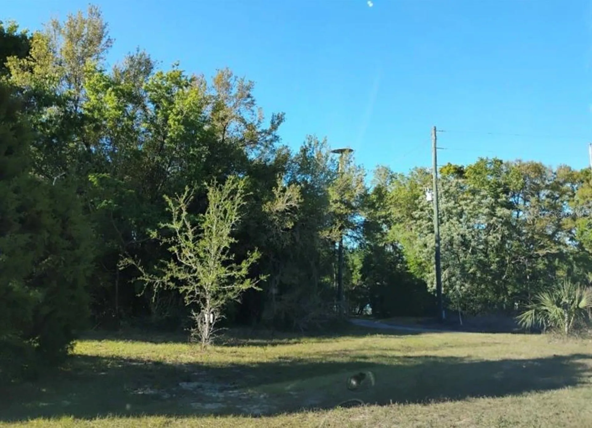 0 South Lake Hiawatha Drive Lady Lake FL 32159