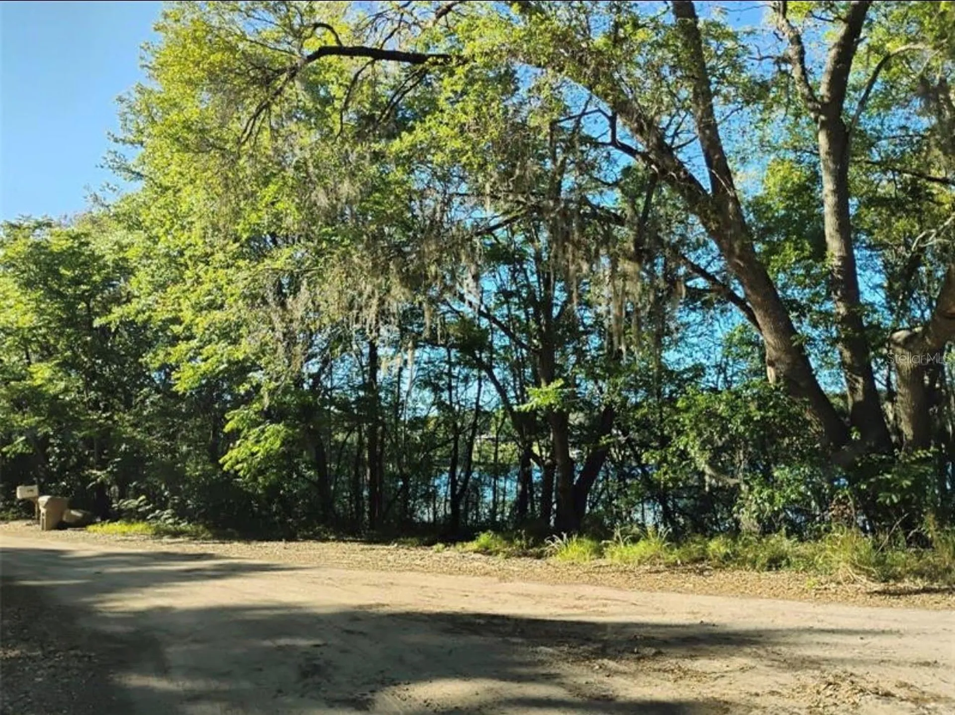0 South Lake Hiawatha Drive Lady Lake FL 32159