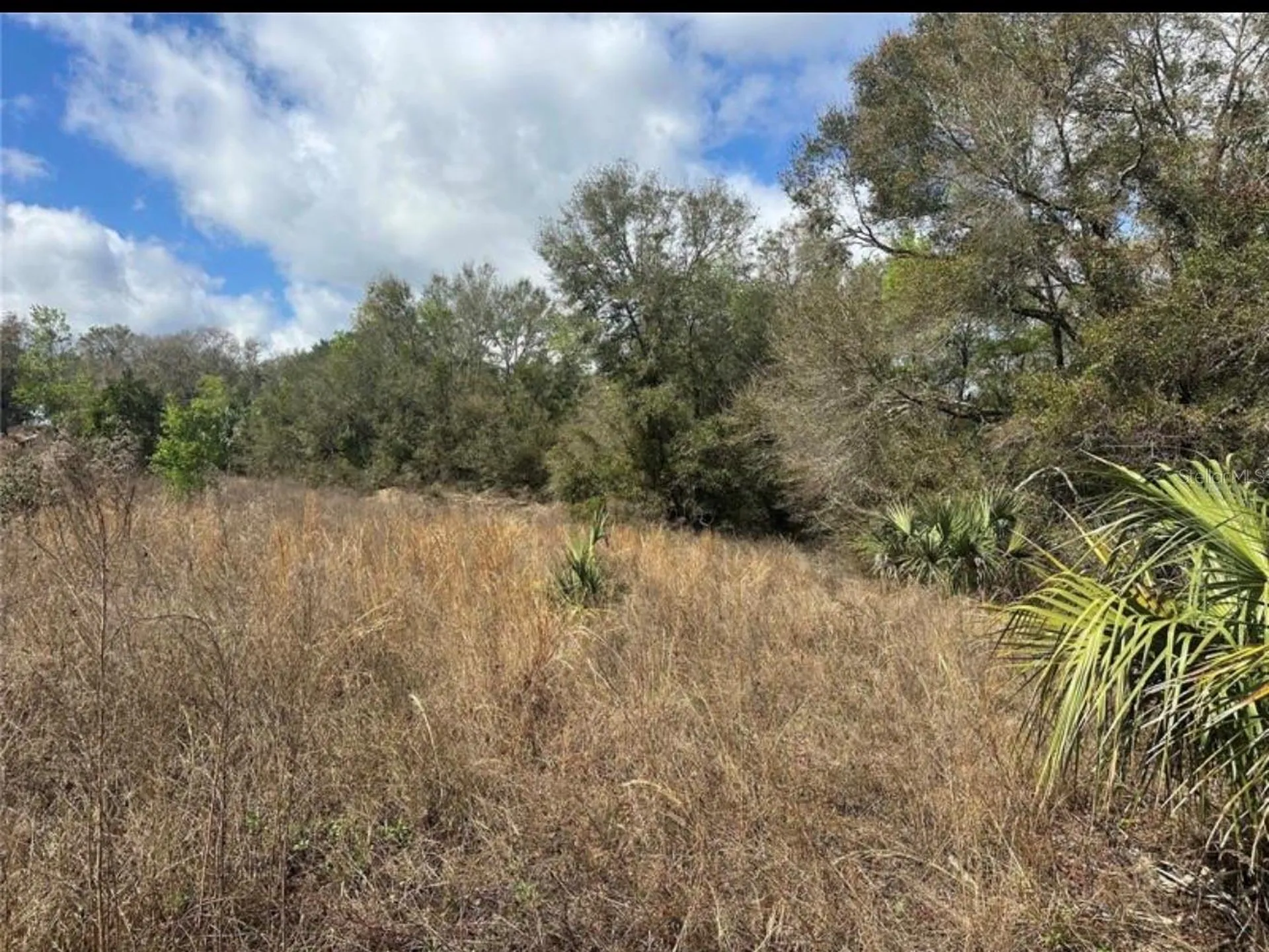 0 South Lake Hiawatha Drive Lady Lake FL 32159
