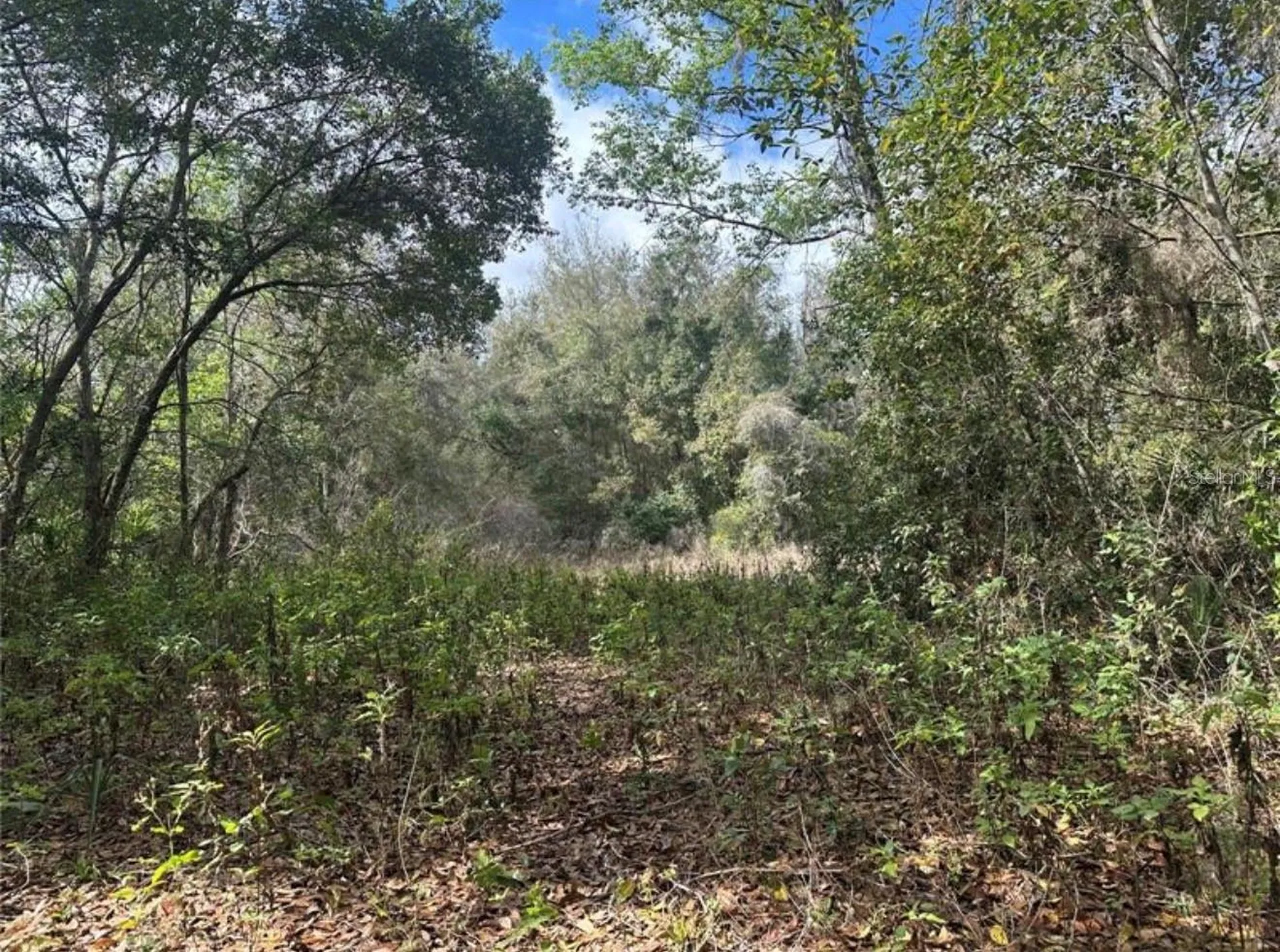 0 South Lake Hiawatha Drive Lady Lake FL 32159