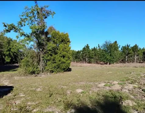 0 South Lake Hiawatha Drive Lady Lake FL 32159