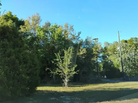 0 South Lake Hiawatha Drive Lady Lake FL 32159