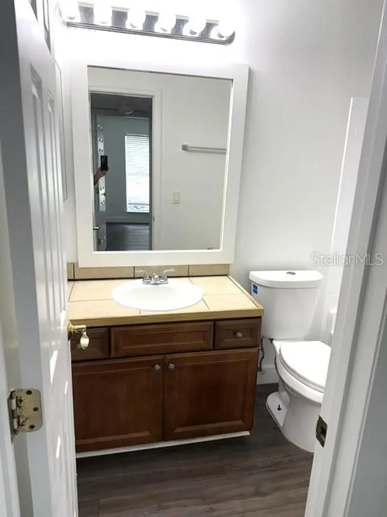 4211 Chatham Oak Court Tampa FL 33624