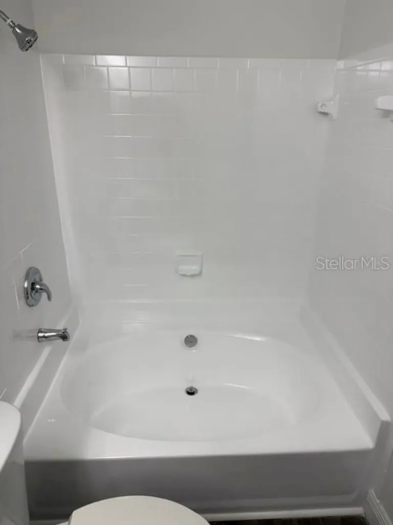 4211 Chatham Oak Court Tampa FL 33624