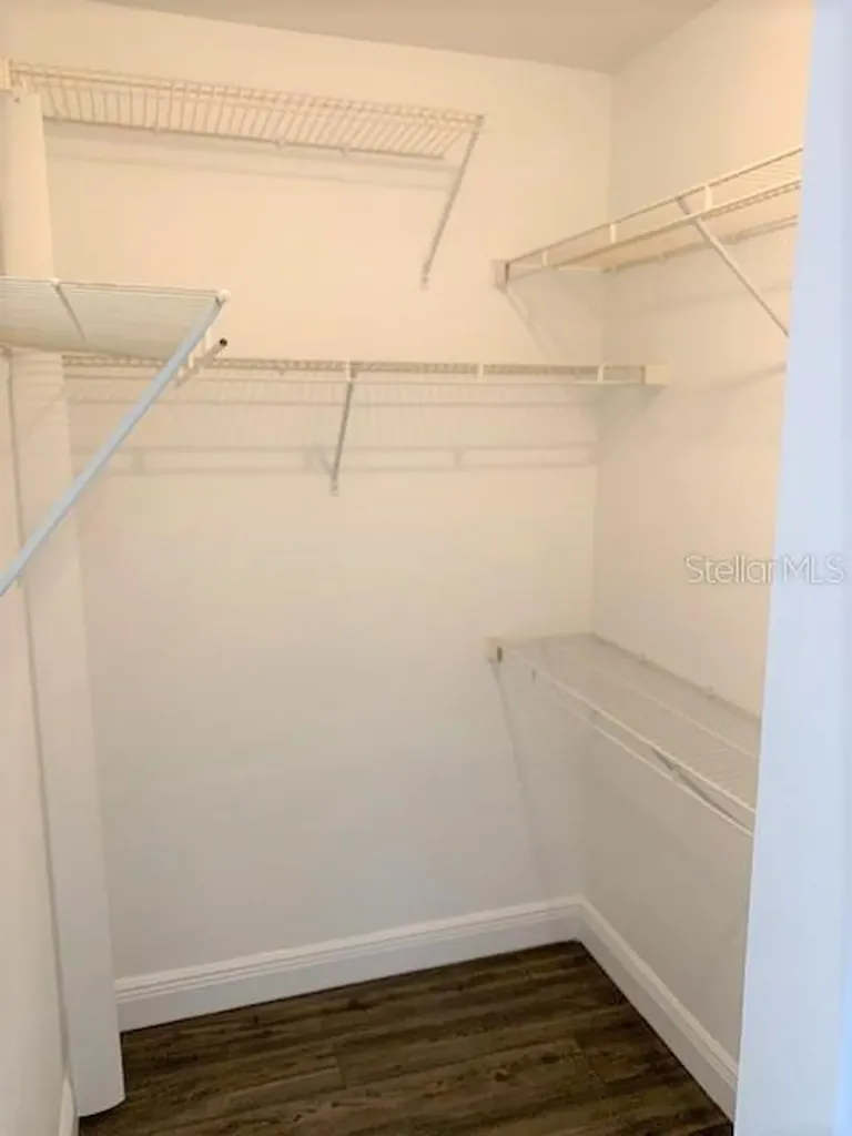 4211 Chatham Oak Court Tampa FL 33624