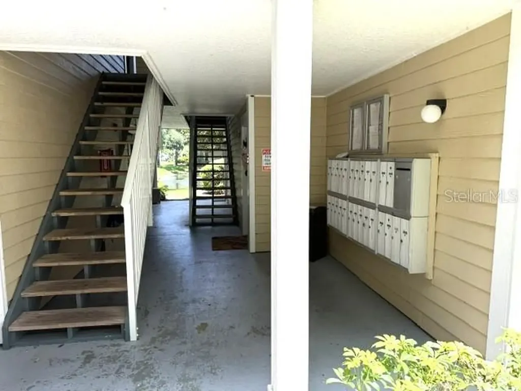 4211 Chatham Oak Court Tampa FL 33624