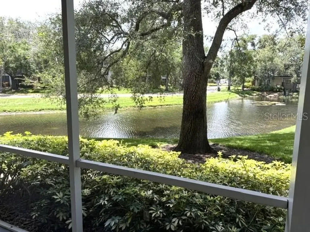 4211 Chatham Oak Court Tampa FL 33624
