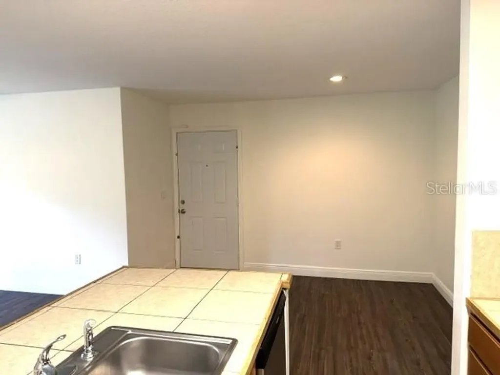 4211 Chatham Oak Court Tampa FL 33624