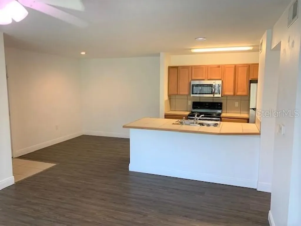 4211 Chatham Oak Court Tampa FL 33624