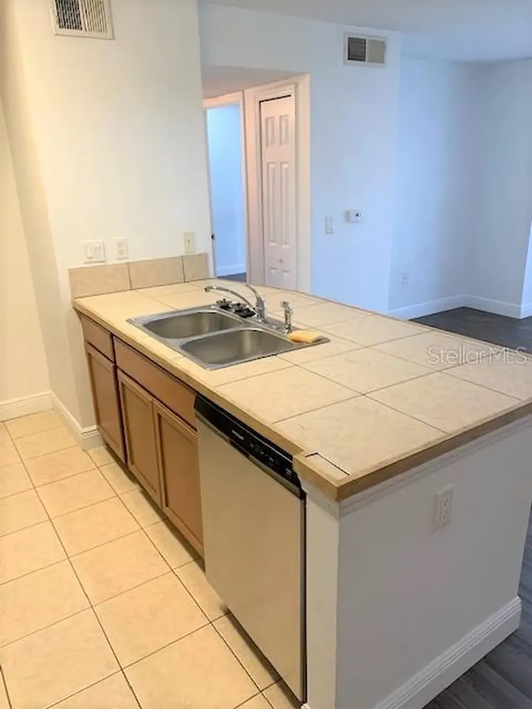 4211 Chatham Oak Court Tampa FL 33624