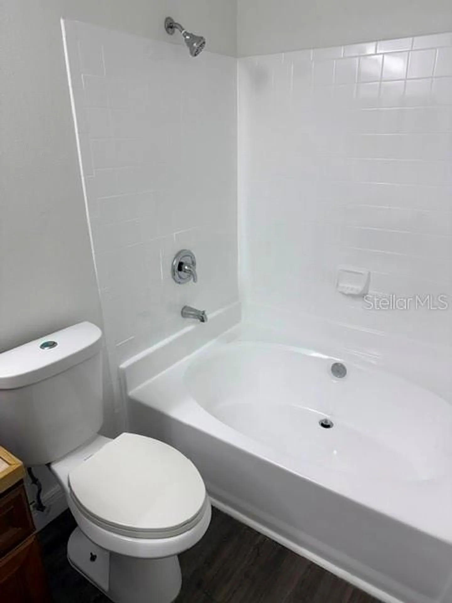 4211 Chatham Oak Court Tampa FL 33624