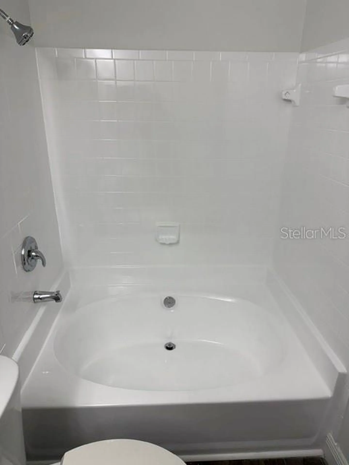 4211 Chatham Oak Court Tampa FL 33624