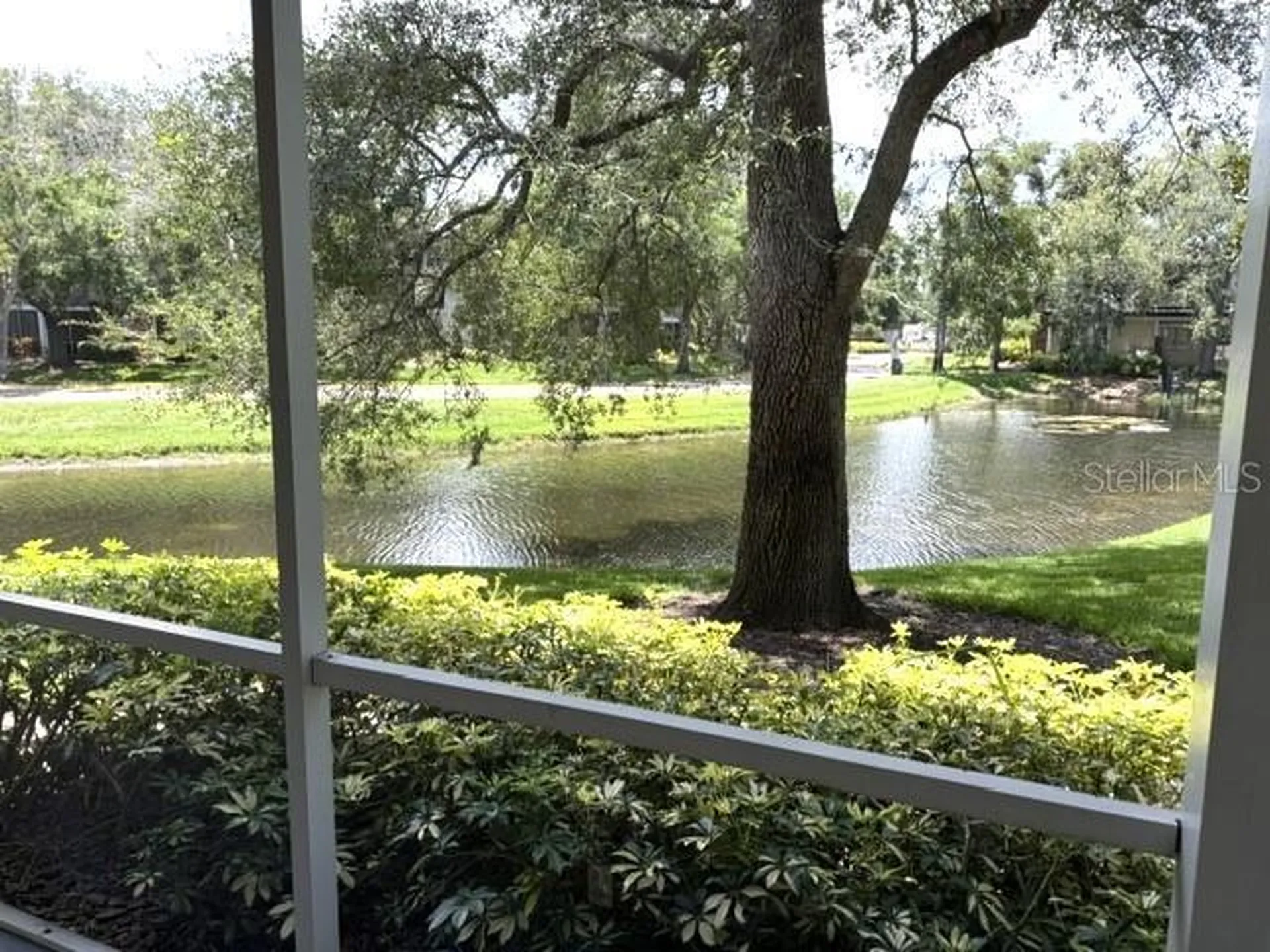 4211 Chatham Oak Court Tampa FL 33624
