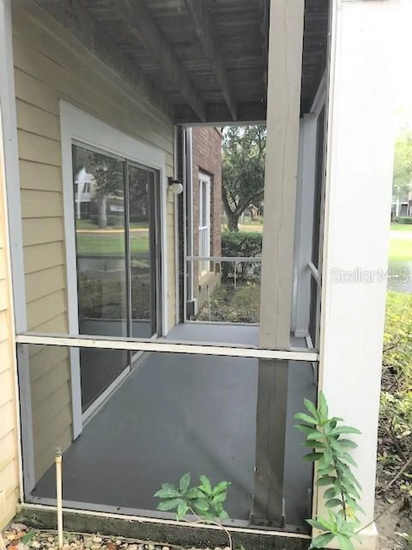4211 Chatham Oak Court Tampa FL 33624
