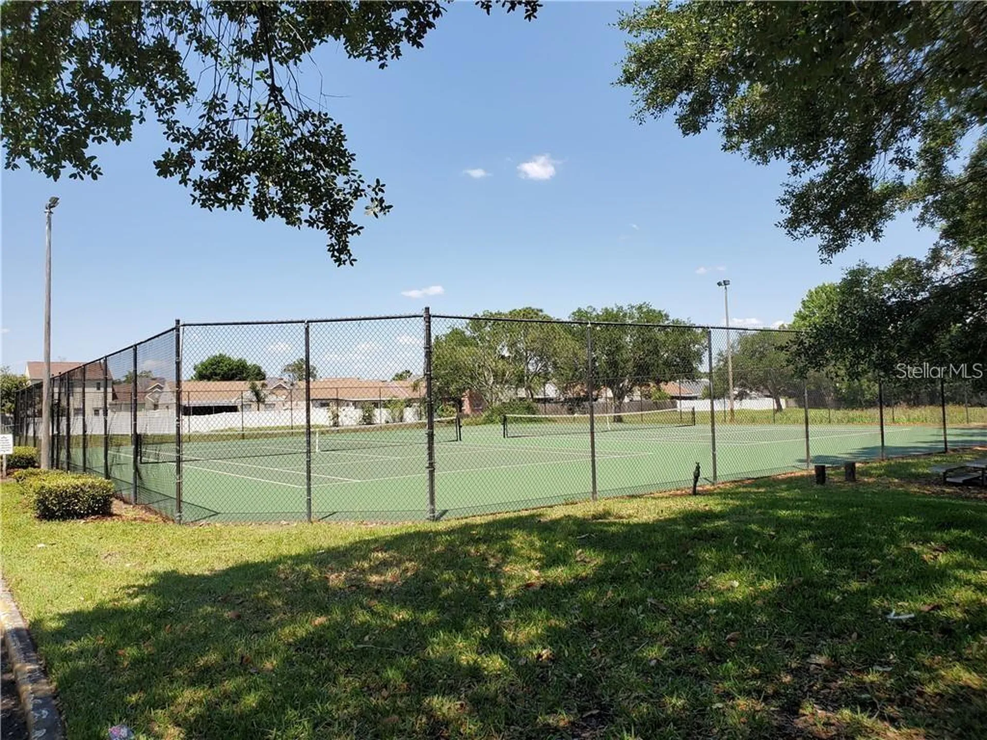 4211 Chatham Oak Court Tampa FL 33624