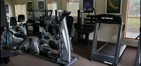 4211 Chatham Oak Court Tampa FL 33624