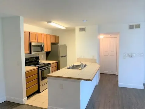 4211 Chatham Oak Court Tampa FL 33624