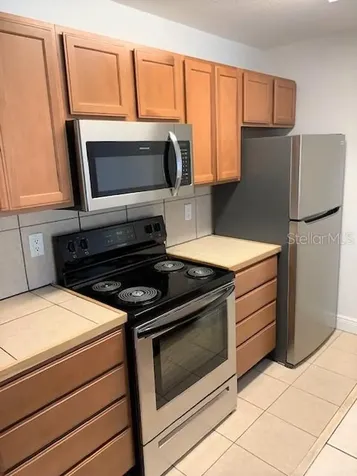 4211 Chatham Oak Court Tampa FL 33624
