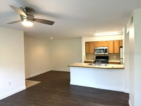 4211 Chatham Oak Court Tampa FL 33624