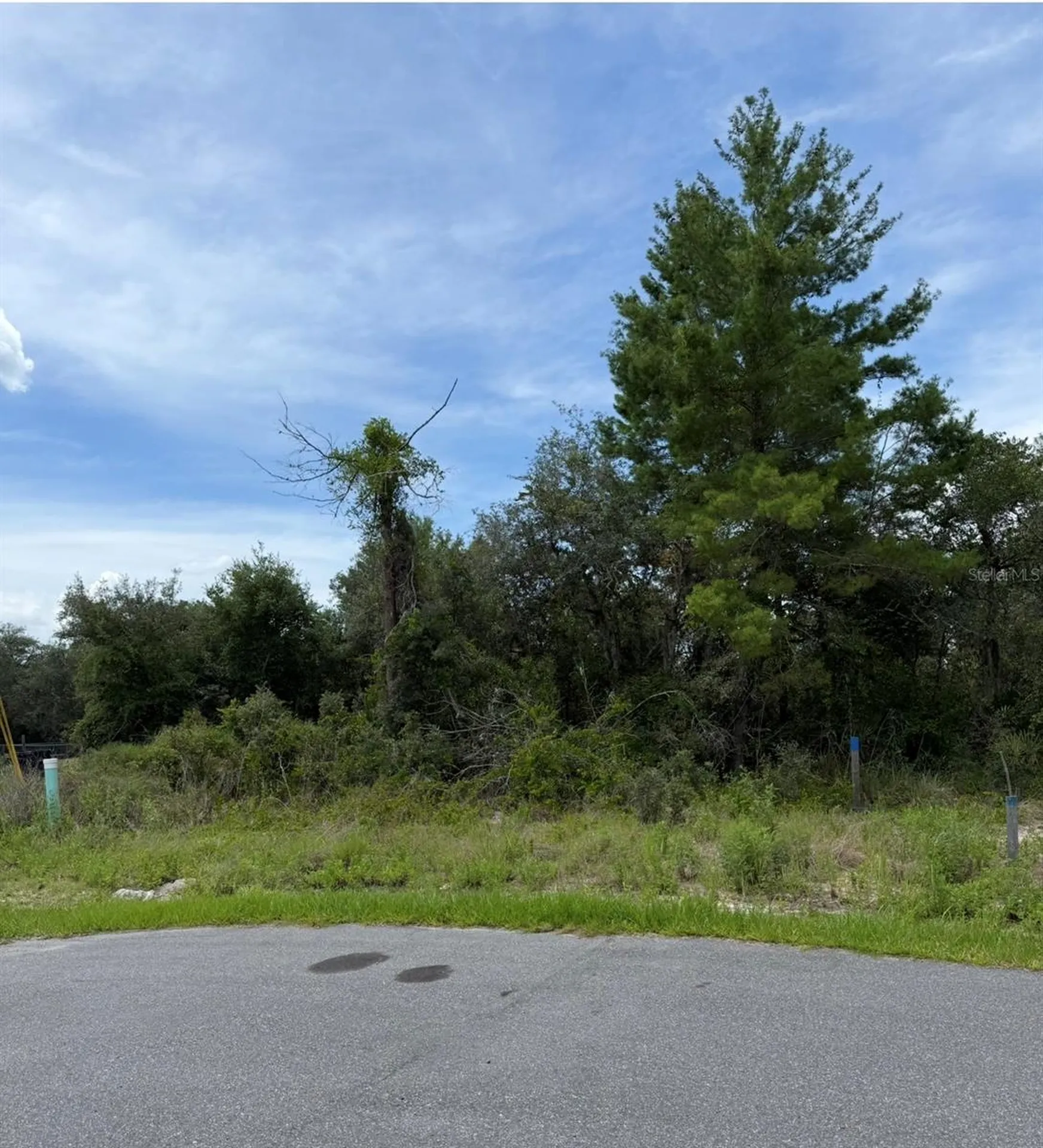 1205 Waverly Place Kissimmee FL 34759
