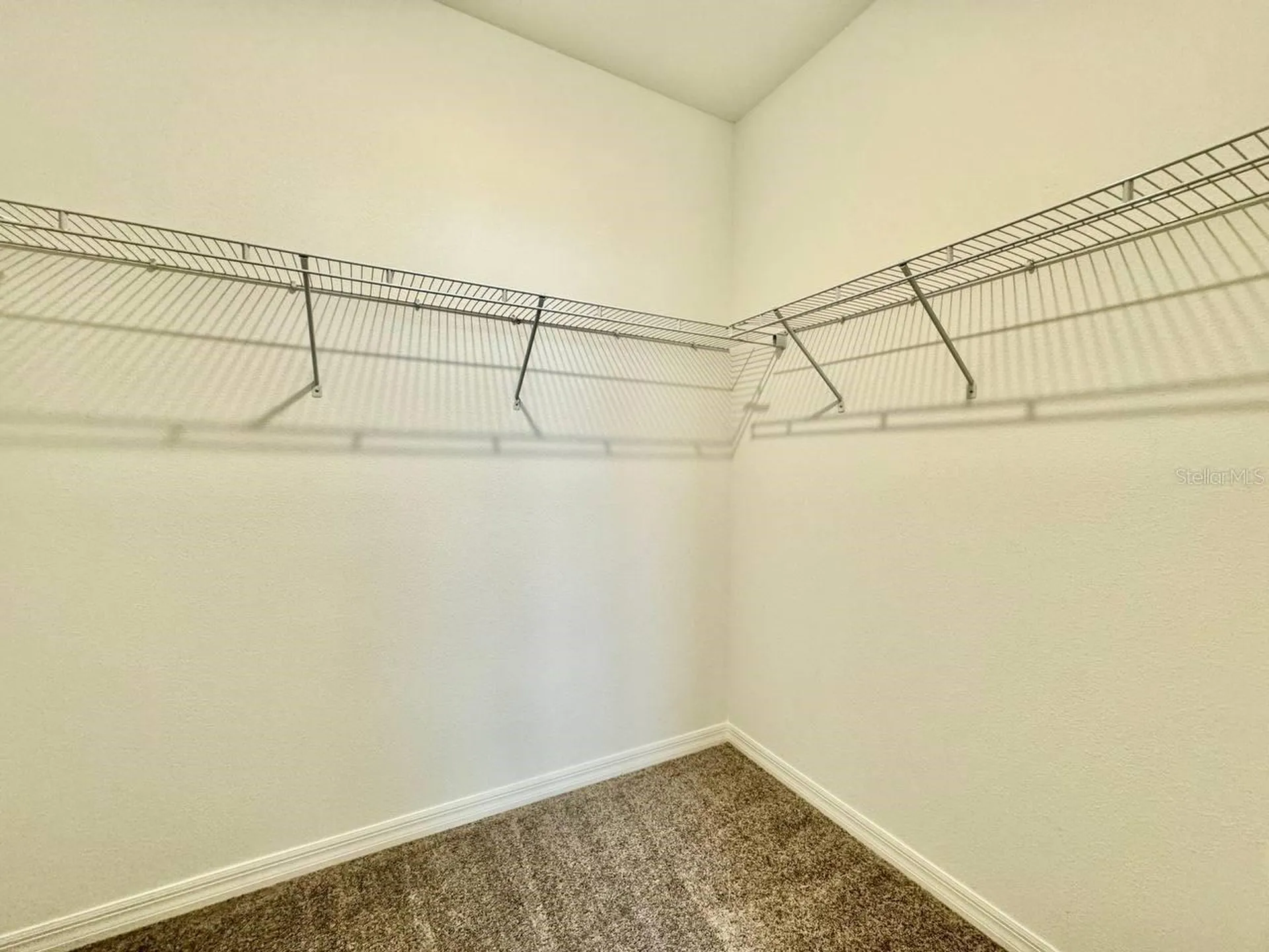 10809 Fowlers Bluff Court Tampa FL 33647