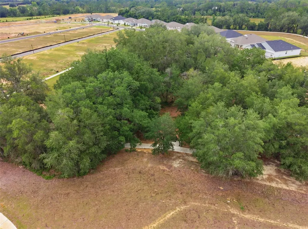 440 Free Range Drive Clermont FL 34715