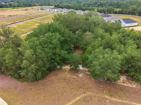 440 Free Range Drive Clermont FL 34715