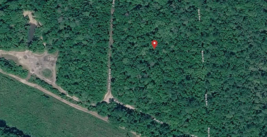 E Deep Creek Hastings FL 32145