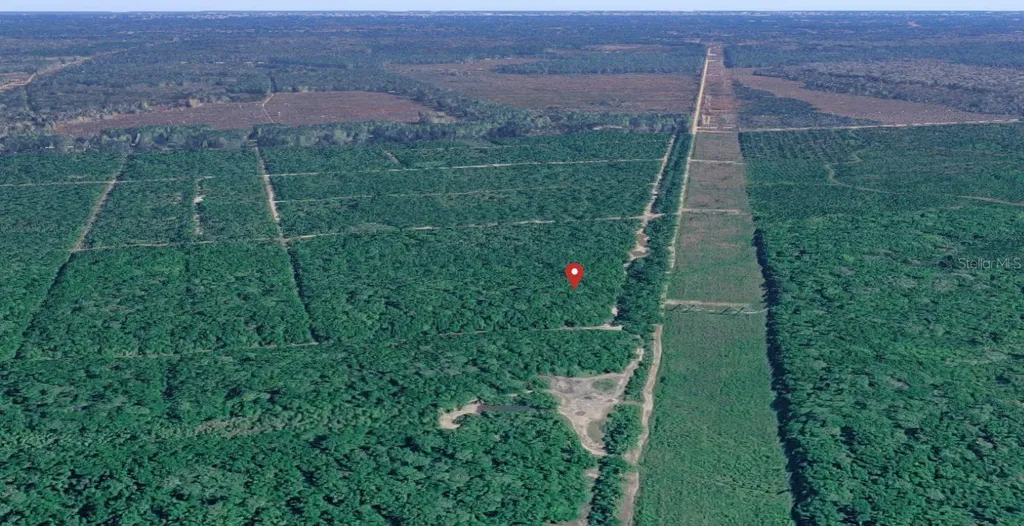 E Deep Creek Hastings FL 32145
