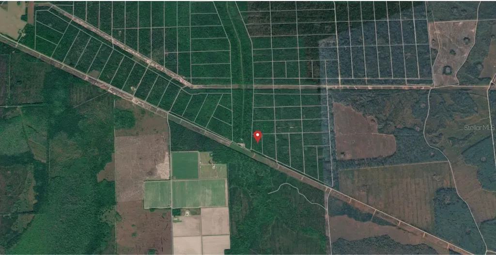 E Deep Creek Hastings FL 32145