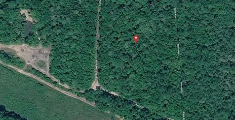 E Deep Creek Hastings FL 32145