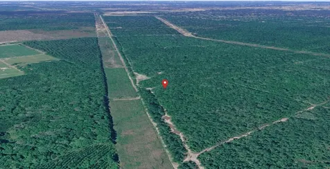 E Deep Creek Hastings FL 32145