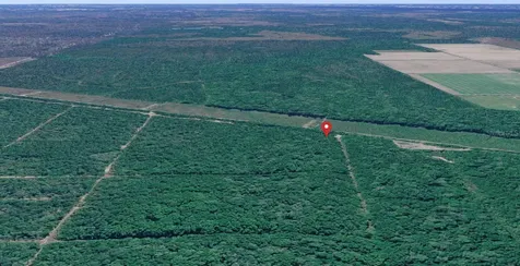E Deep Creek Hastings FL 32145
