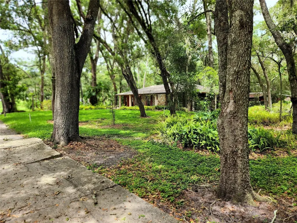 11318 Brightwood Drive Seffner FL 33584