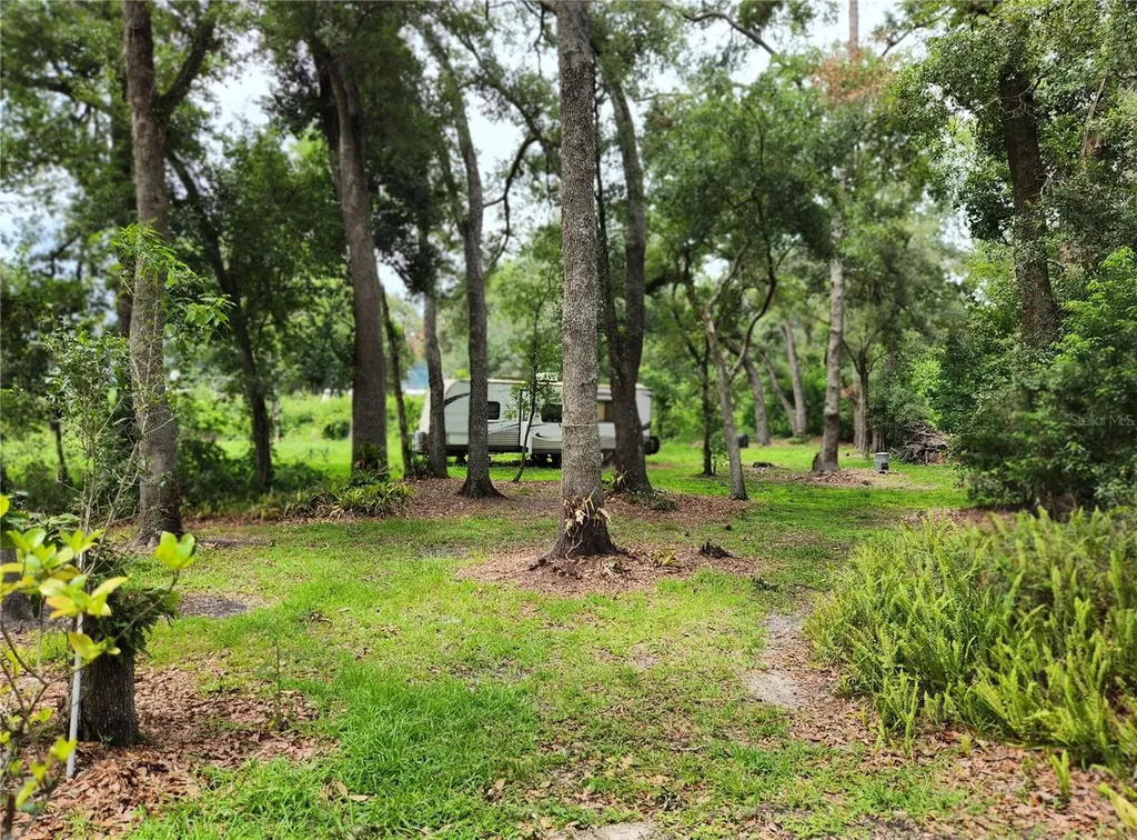 11318 Brightwood Drive Seffner FL 33584