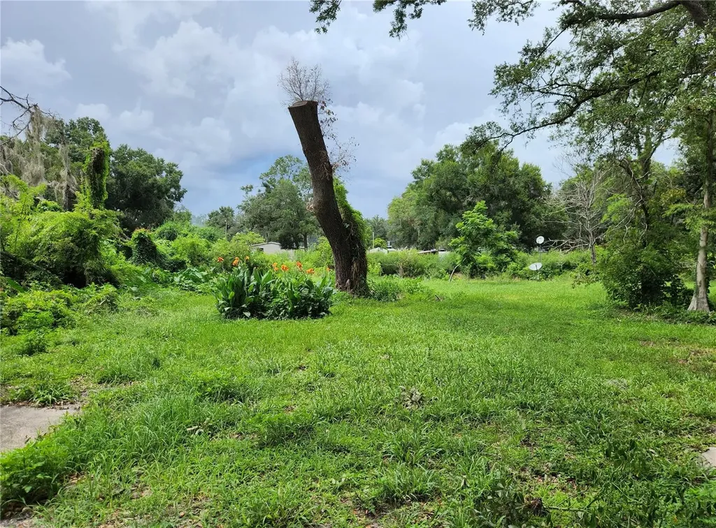 11318 Brightwood Drive Seffner FL 33584