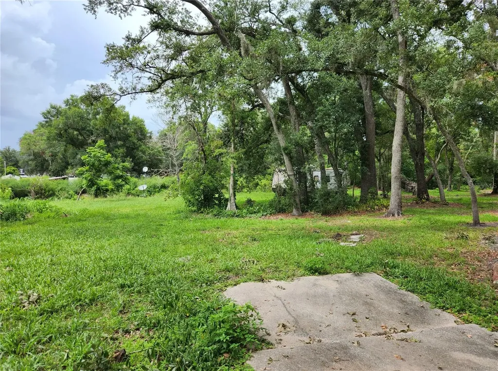 11318 Brightwood Drive Seffner FL 33584