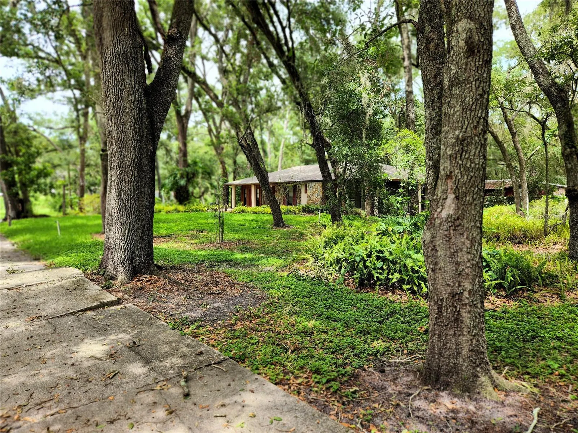 11318 Brightwood Drive Seffner FL 33584