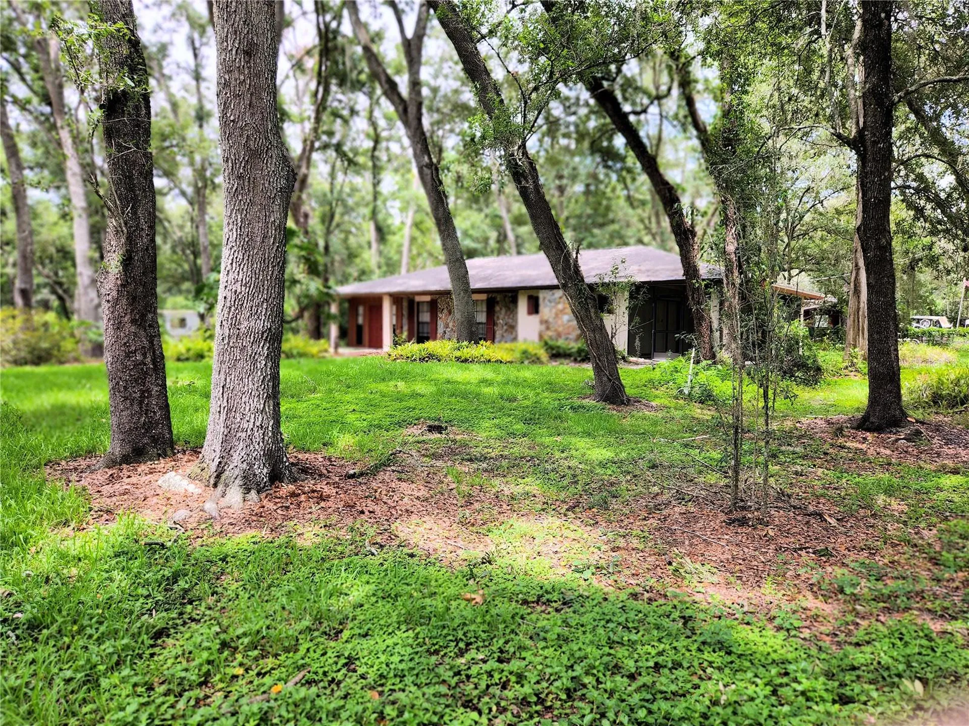 11318 Brightwood Drive Seffner FL 33584