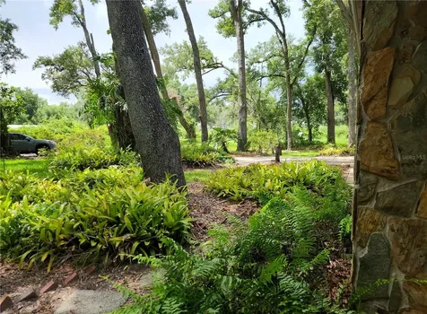 11318 Brightwood Drive Seffner FL 33584