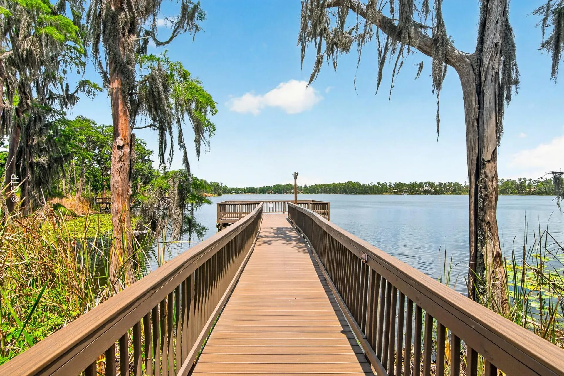 11238 Biddeford Place New Port Richey FL 34654