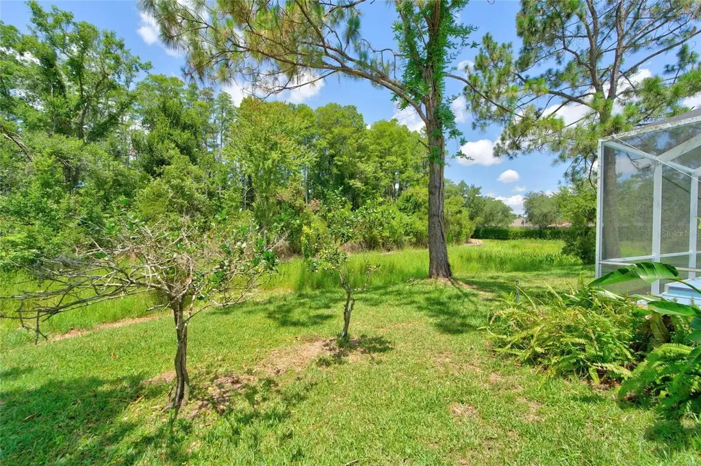 21744 Waverly Shores Lane Land O Lakes FL 34637