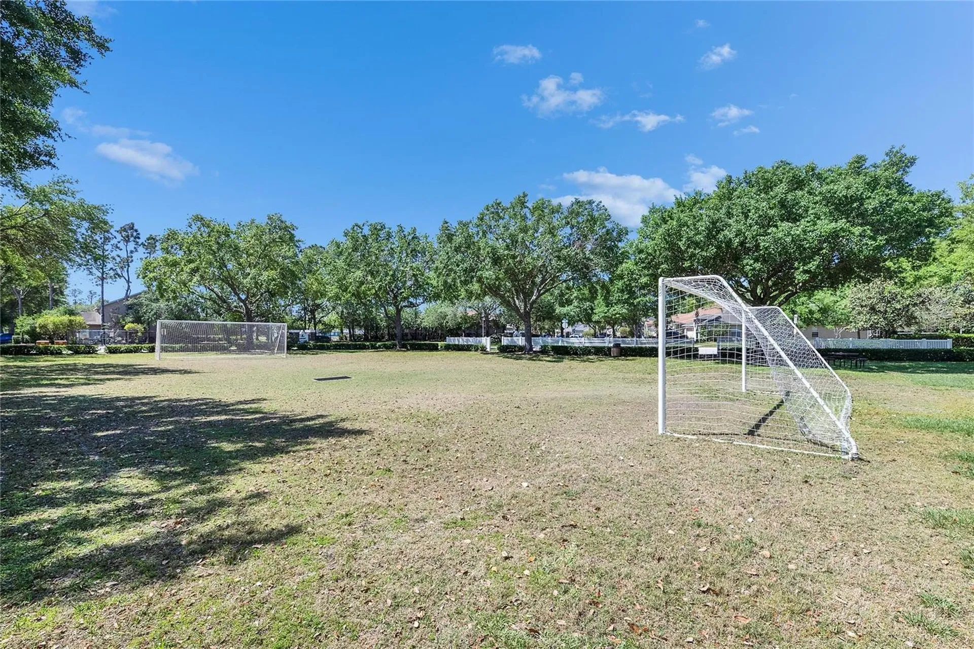 21744 Waverly Shores Lane Land O Lakes FL 34637
