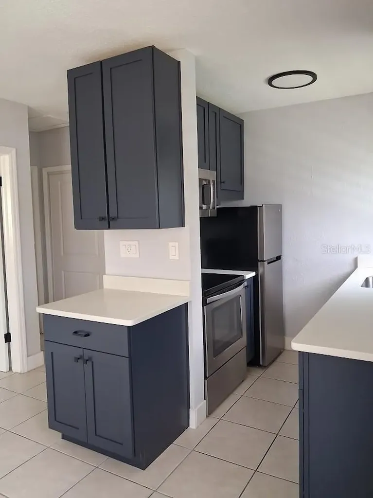 217 Banana Street Tarpon Springs FL 34689