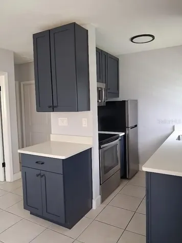 217 Banana Street Tarpon Springs FL 34689